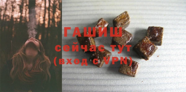 индика Богданович