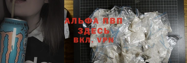 индика Богданович