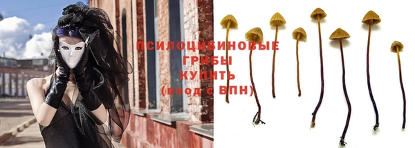 сатива Бронницы