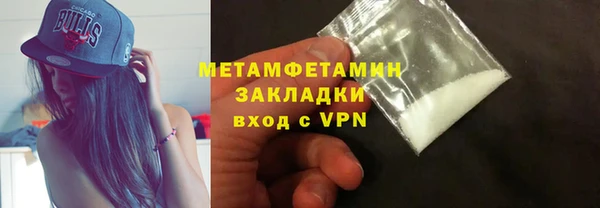 индика Богданович