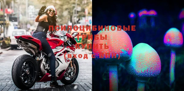 стаф Богородск