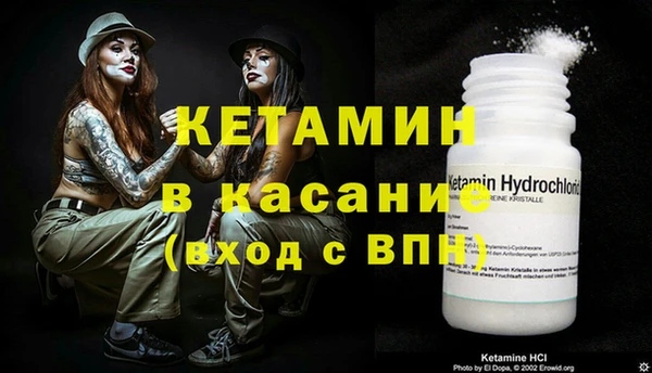 сатива Бронницы
