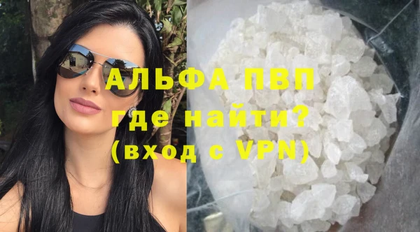 сатива Бронницы