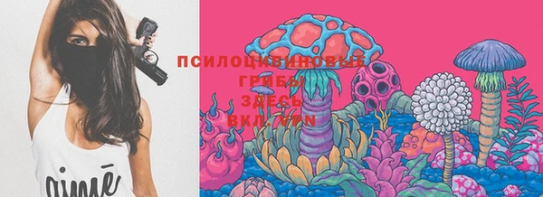 индика Богданович